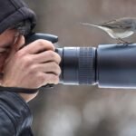 Best Cameras for Wildlife Photography in 2025