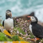 Best Nature Documentaries for Inspiration