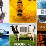 Top Documentary Films On Environmental Issues